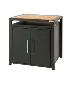 MODULE PLACARD BIG GREEN... 2