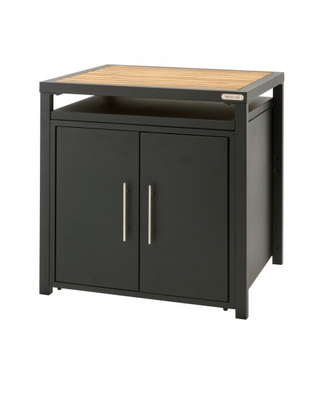 MODULE PLACARD BIG GREEN EGG SEUL