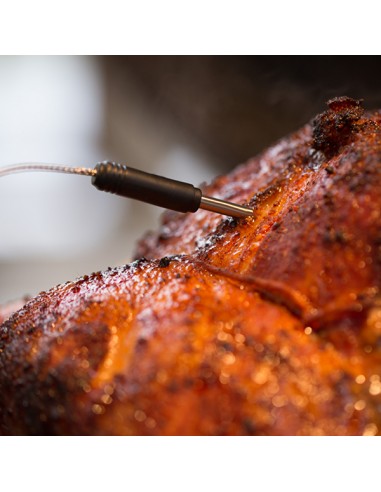 THERMOM&Egrave;TRE &Agrave; VIANDE AVEC SONDES...