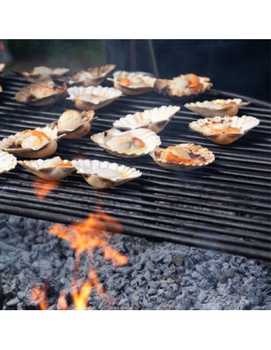 DEMI-GRILLE POUR BRASERO 80CM -...