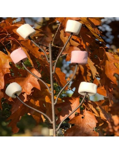 FOURCHETTE MARSHMALLOW - TIMOTHY ROSS