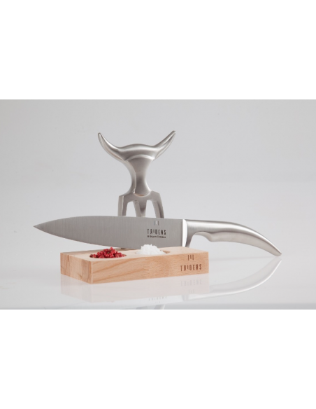 COFFRET DE DECOUPE TRIDENS & GOYON-CHAZEAU