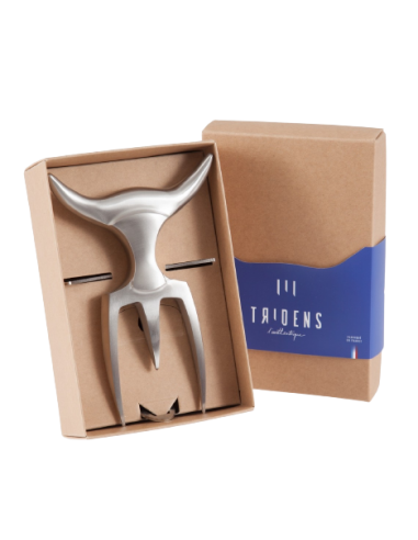 DUO FOURCHETTE TRIDENS BROSSE ET...