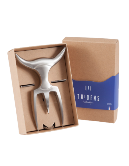 DUO FOURCHETTE TRIDENS BROSSE ET SUPPORT INOX