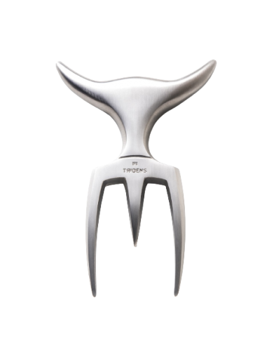 DUO FOURCHETTE TRIDENS BROSSE ET...