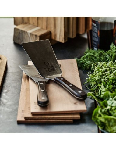 SET DE SPATULES OFYR
