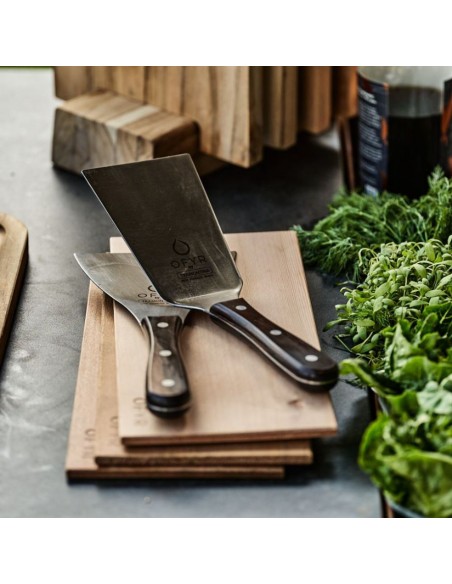 SET DE SPATULES OFYR
