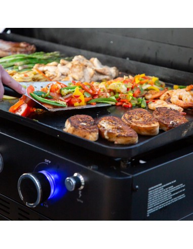PLANCHA 5 BRULEURS ULTIMATE SUR...