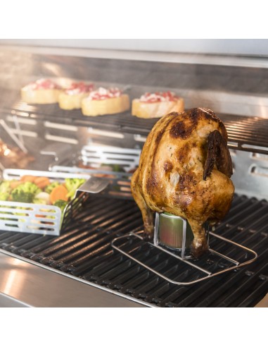 SUPPORT CUISSON POULET GRILL+ CHAR-BROIL