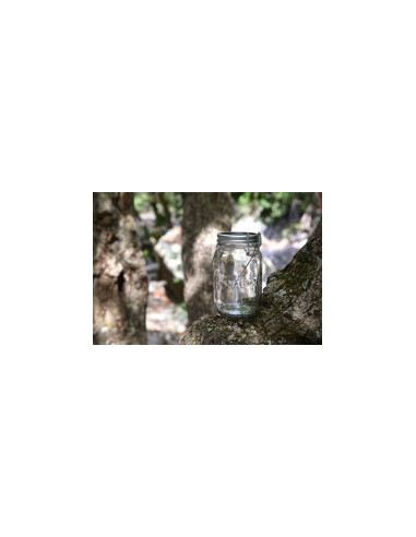 BOCAL LANTERNE SOLAIRE SOLAR JAR CLASSIC