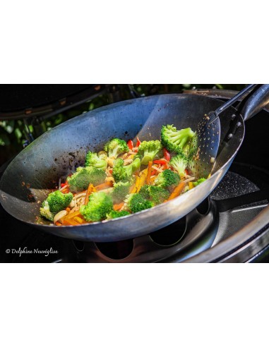 SUPPORT POELE WOK POUR KAMADO...