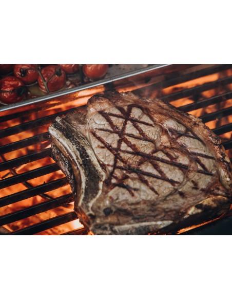DEMI GRILLE FONTE POUR KAMADO MONOLITH TWO.55
