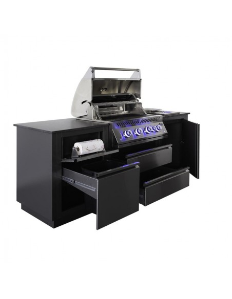 CUISINE EXTERIEURE NAPOLEON OASIS AVEC BARBECUE GAZ BIG 32