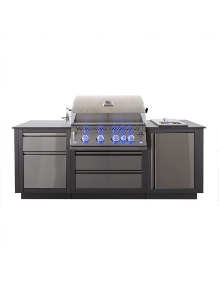 CUISINE EXTERIEURE NAPOLEON OASIS AVEC BARBECUE GAZ BIG 32