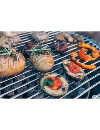 BARBECUE CONE A CHARBON DE BOIS - HOFATS