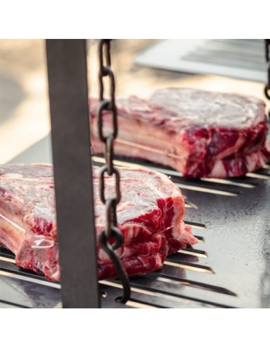BARBECUE ASADO DOUBLE TIMOTHY ROSS