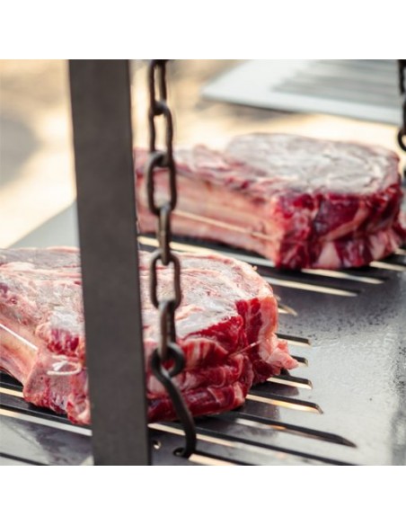 BARBECUE ASADO DOUBLE TIMOTHY ROSS