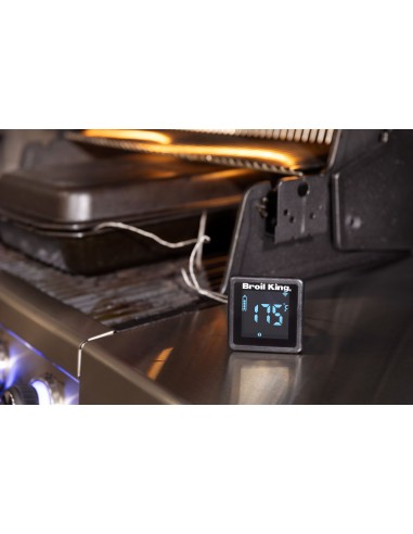 THERMOMETRE &icirc;Que AVEC 2 SONDES -...