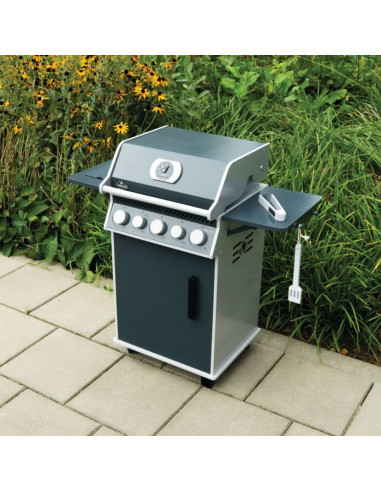 MINI BARBECUE GAZ EN BOIS SERIE ROGUE...