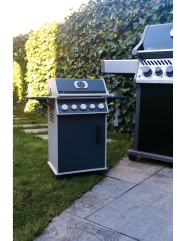 MINI BARBECUE GAZ EN BOIS SERIE ROGUE...
