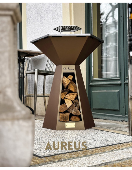 BRASERO PLANCHA HEXAGONE PAUL BOCUSE - AUREUS 85