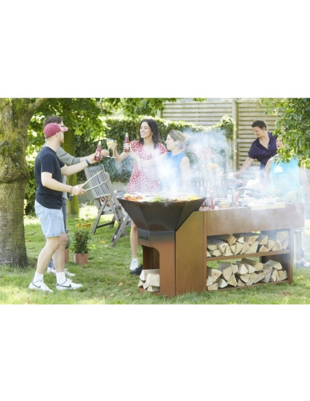 ADAPTATEUR MEUBLE BUDDY ET BRASERO NESTOR - BARBECOOK