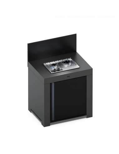 MODULE TABLE DE CUISSON MASTER 2 FEUX...