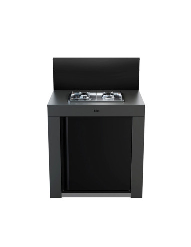 MODULE TABLE DE CUISSON MASTER 2 FEUX...