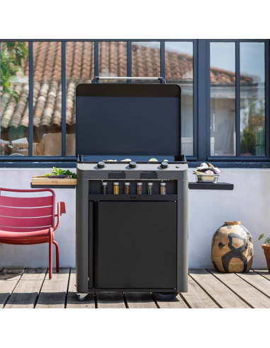 COMBO PLANCHA FUSION 75 ET CHARIOT...