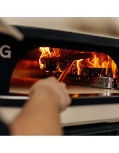 KIT CONTROLE FEU DE BOIS FOURS A...